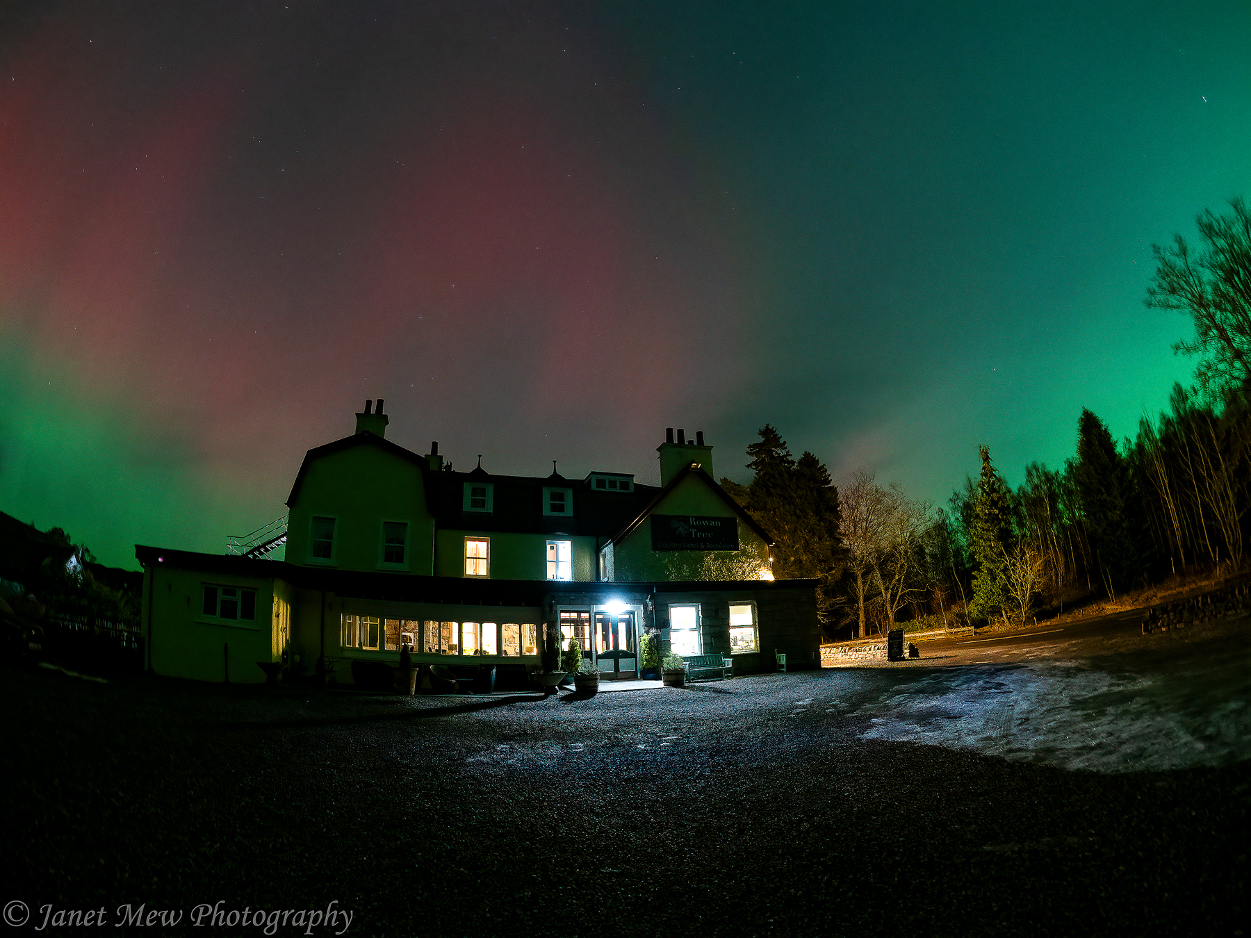 Aurora Over Rowan Tree